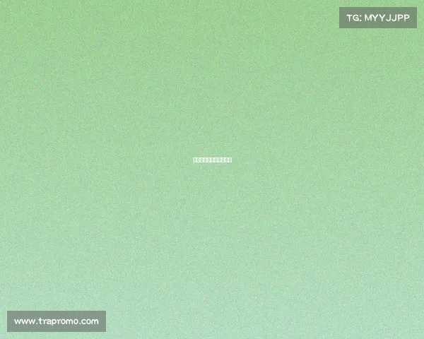 《冲破终点：冠军之路》